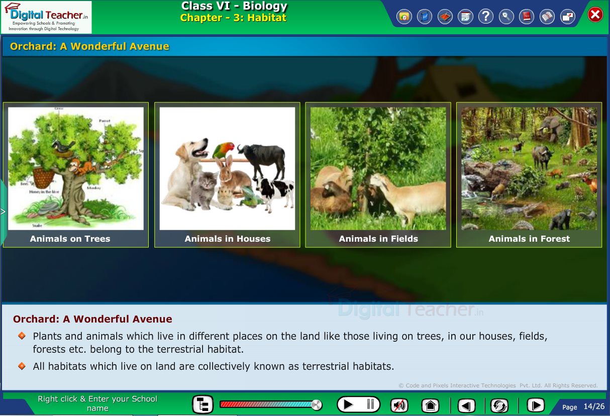Digital teacher smart class about animals enclosed in a fruit planted area