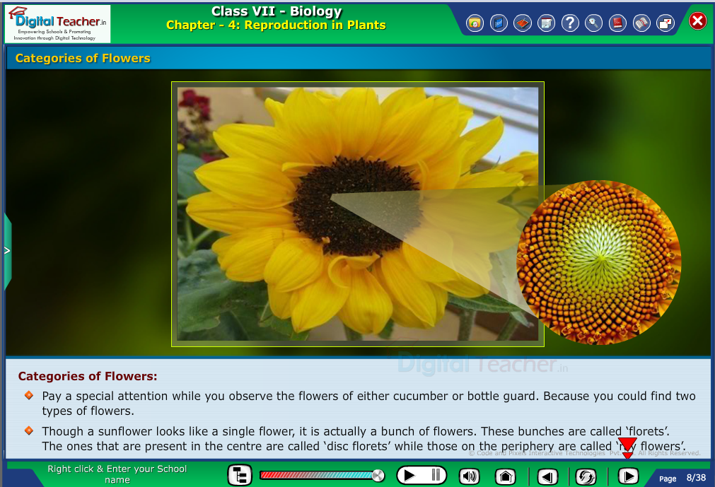 Digital teacher smart class about categories of flowers