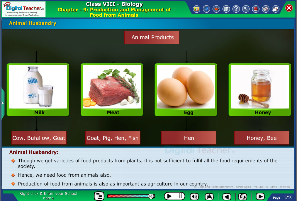 Digital teacher smart class production of food items from animals