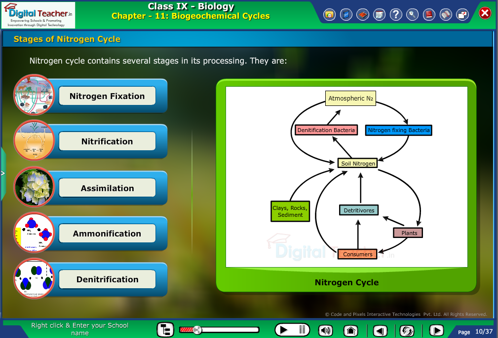 Digital teacher smart class explanation on nitrogen cycle - smart class
