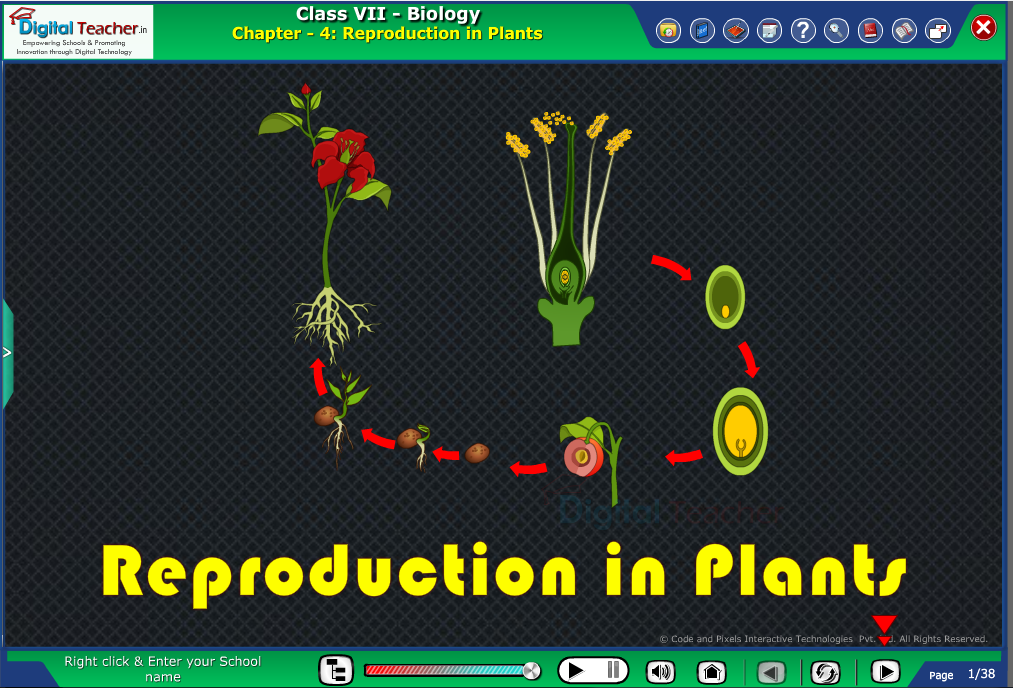 Digital teacher smart class about reproduction in plants