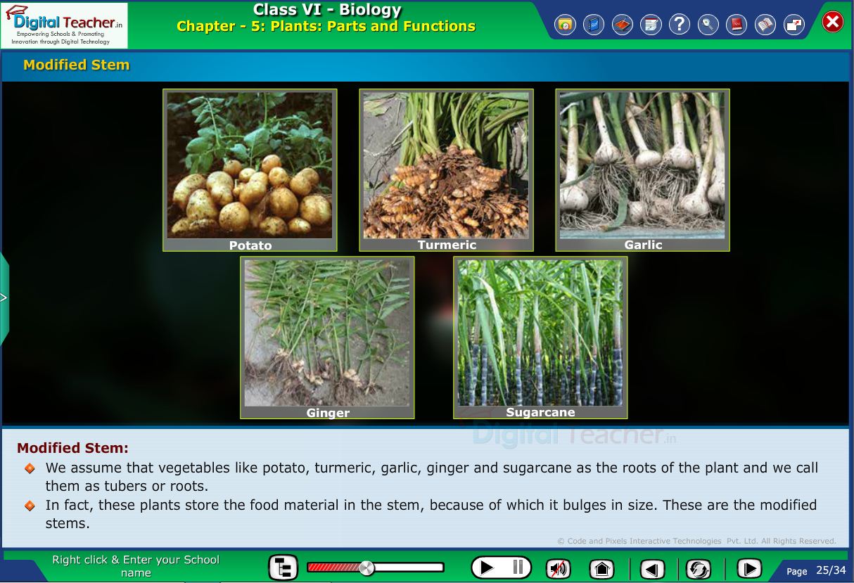 Digital teacher smart class about main body of different plants