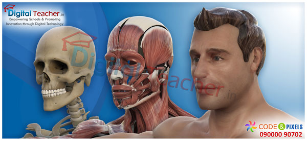 Digital teacher smart class on inner and outer structure of human head