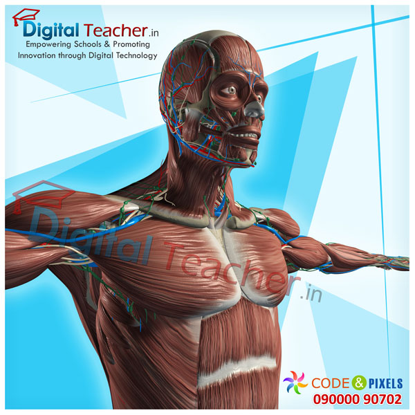 Digital teacher smart class about the inner structure of the human body