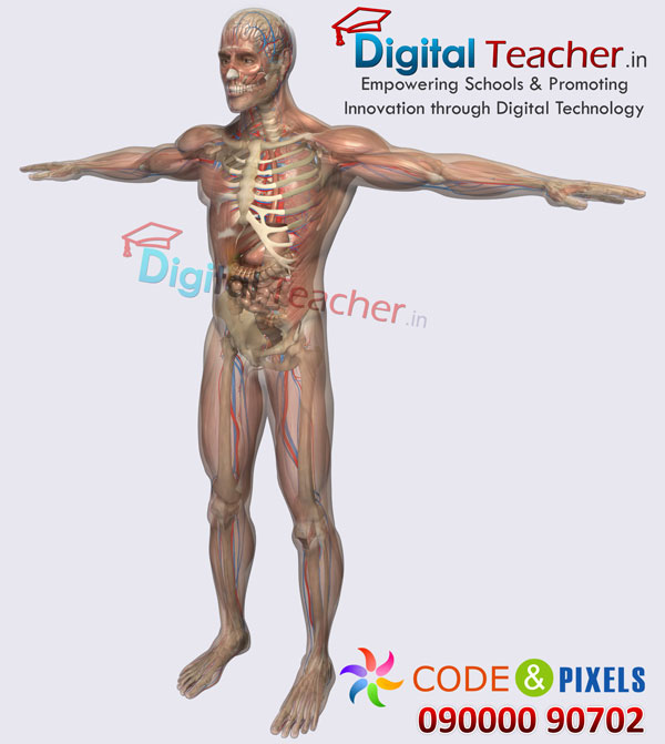Digital teacher smart class on anatomy of human body