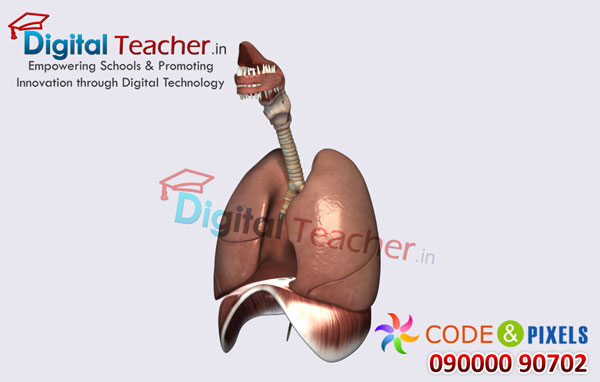 Digital teacher smart class on anatomy of human lungs