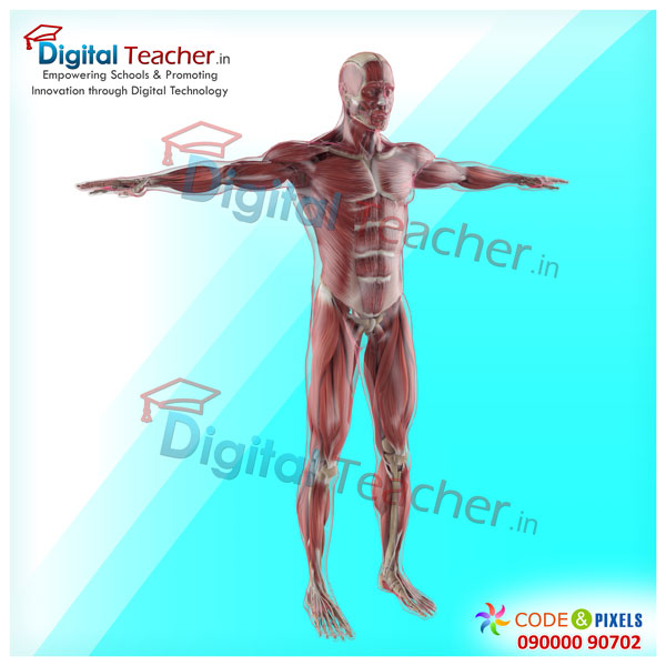 Digital teacher smart class on outer structure of human body