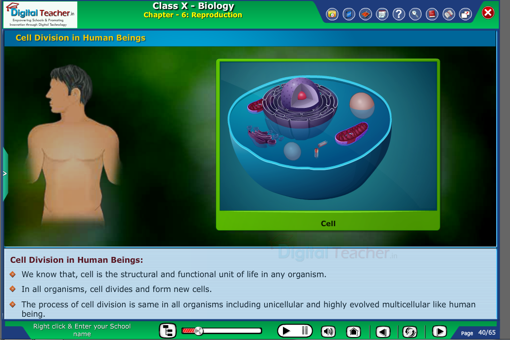 Digital teacher smart class representation on cell division in human beings