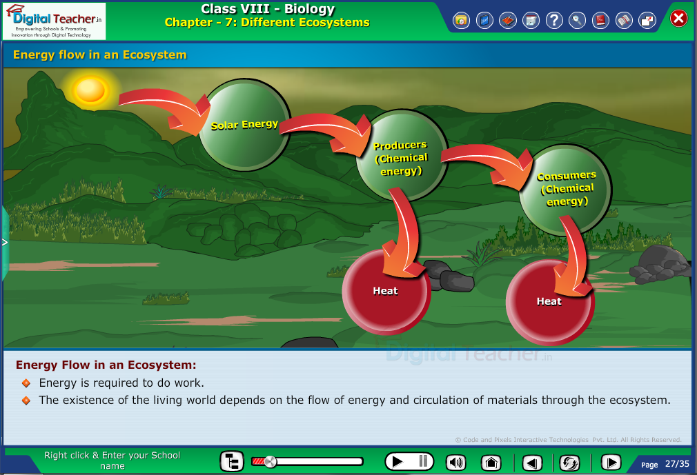 Digital teacher smart class discussion on energy flow in ecosystem