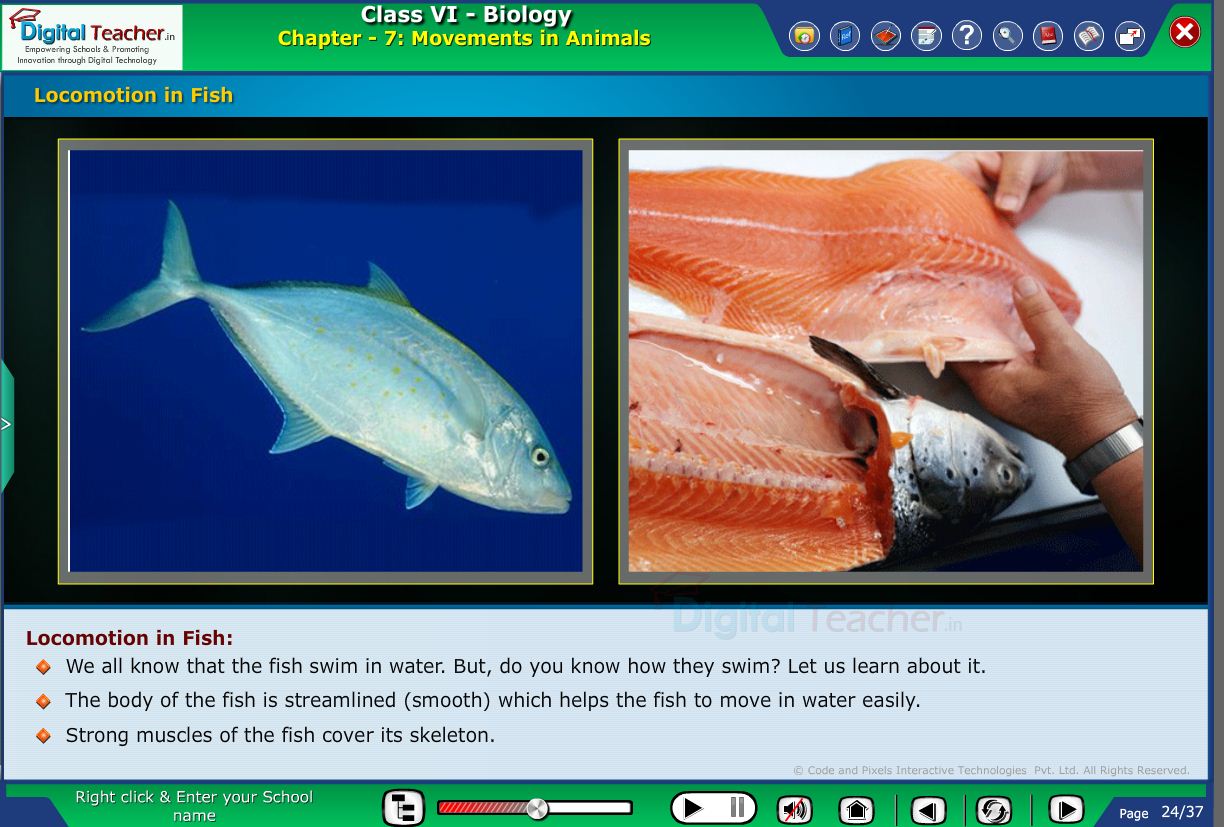 Digital teacher smart class locomotion of fish
