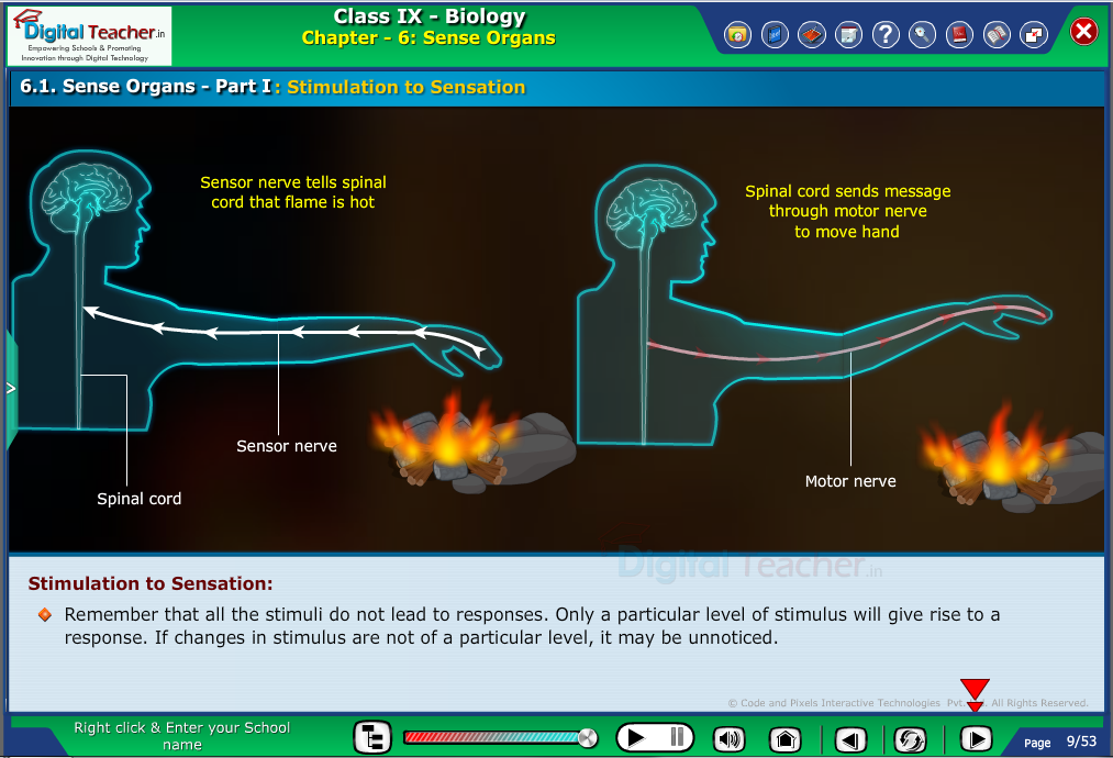 Digital teacher smart class on sense organ representation of hand