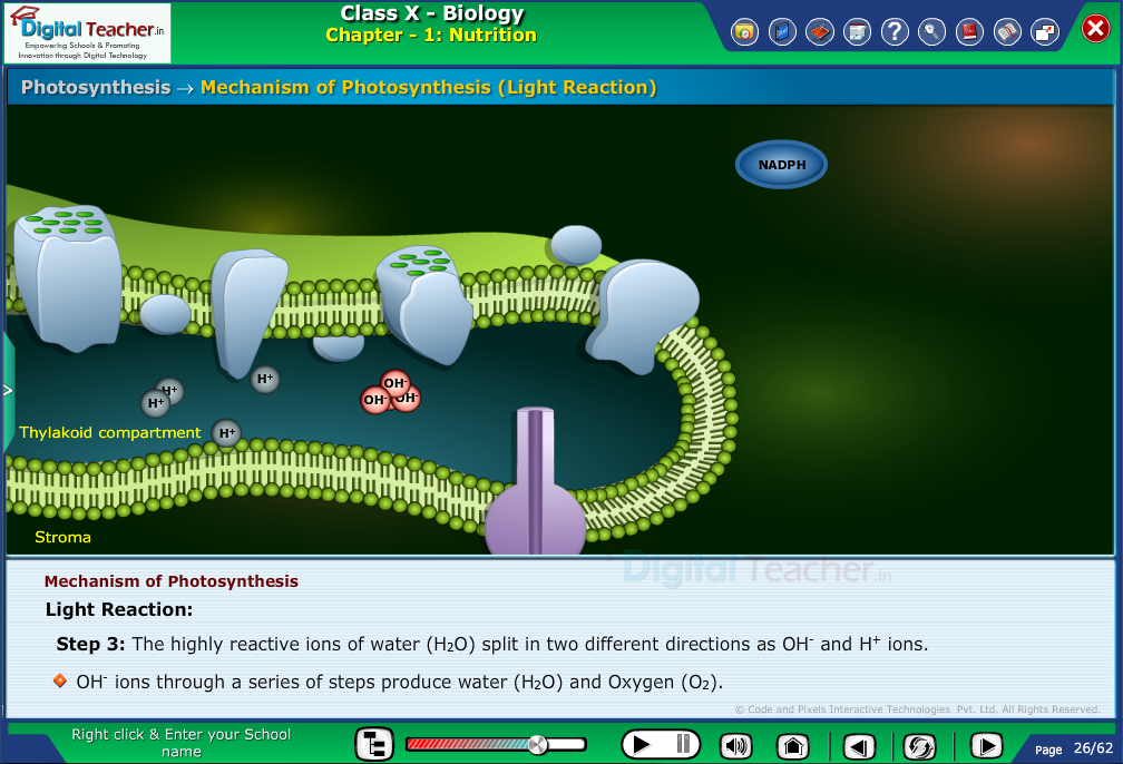 Digital teacher smart class representation on photosynthesis mechanism in light reaction - smart class