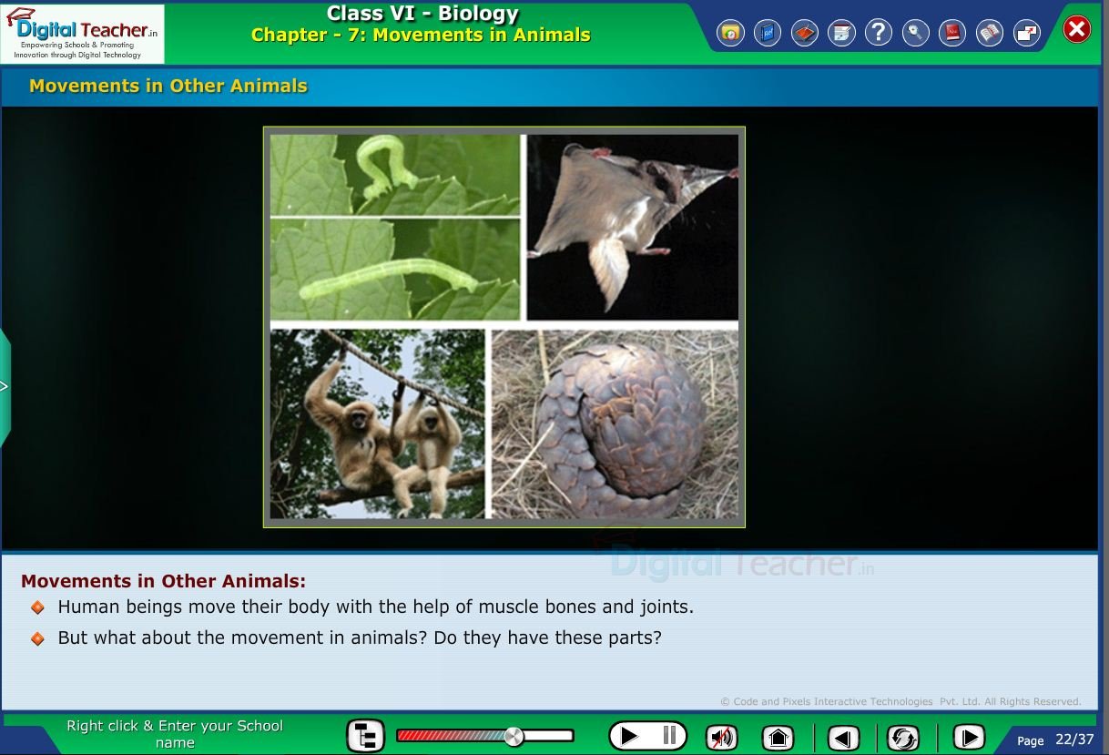 Digital teacher smart class about movements in animals