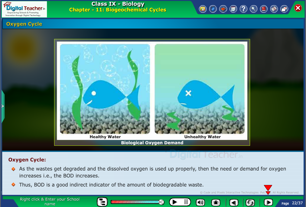 Digital teacher smart class representation of oxygen cycle with healthy and unhealthy water.