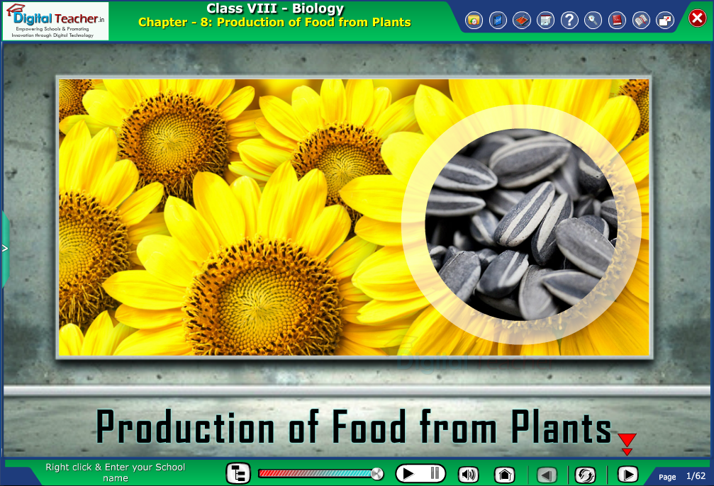 Digital teacher smart class about production of food from plants