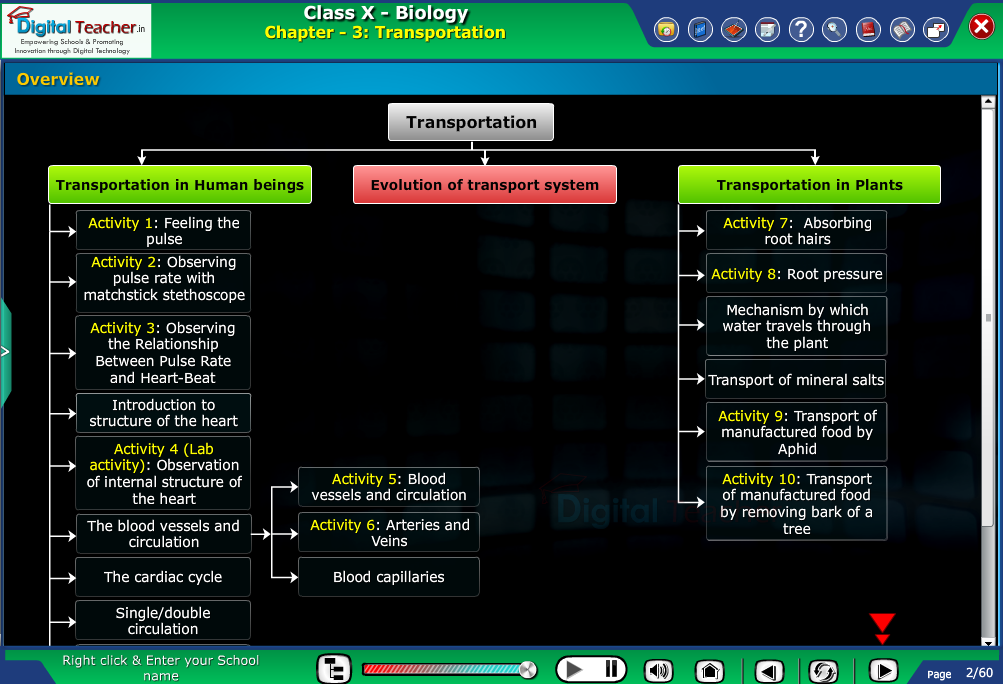 Digital teacher smart class explanation on difference between transportation in human beings and plants