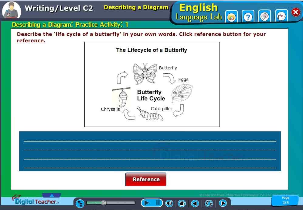 Describe the life cycle of butterfly on your own words.