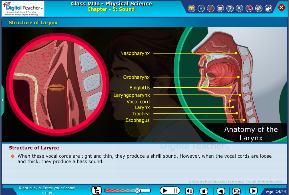 Digital teacher smart class about structure of larynx