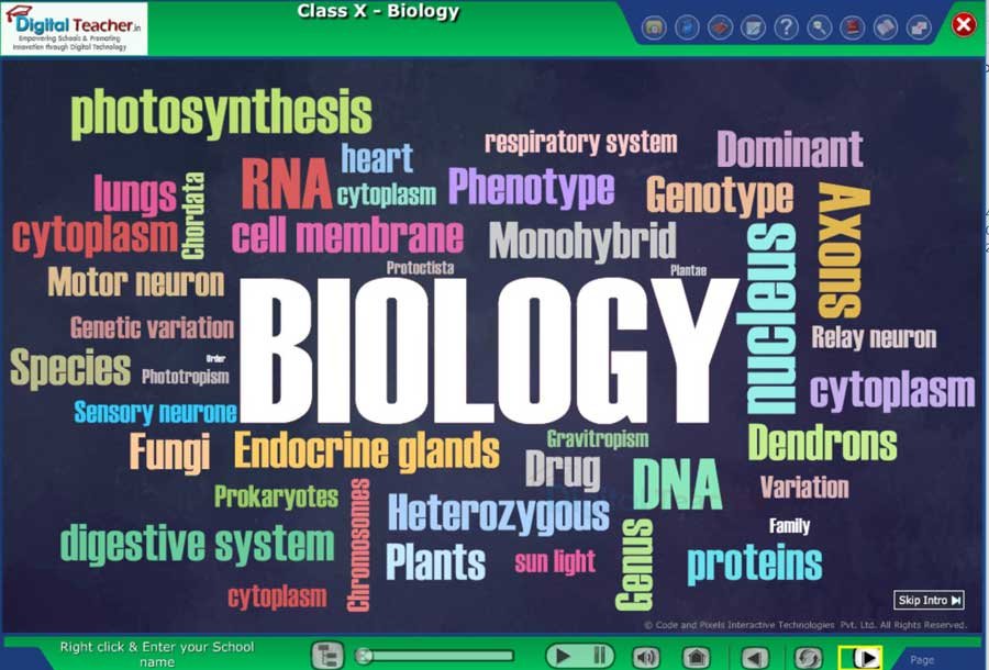 Smart class solution for Class 10 Biology