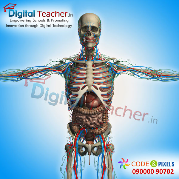 Digital teacher smart class about inner parts of human body