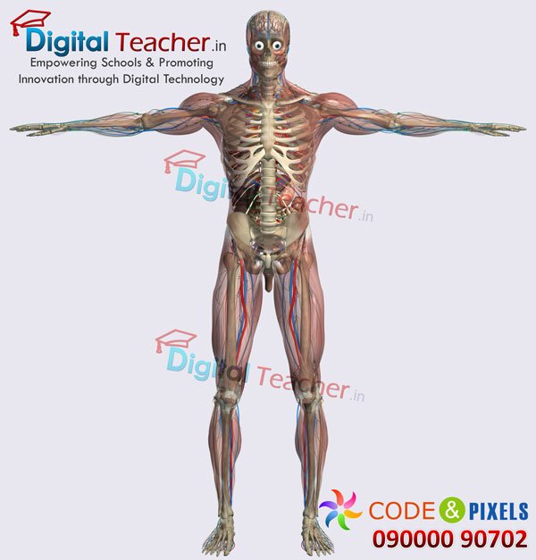 Infographics | Smart Learning | Digital Teacher