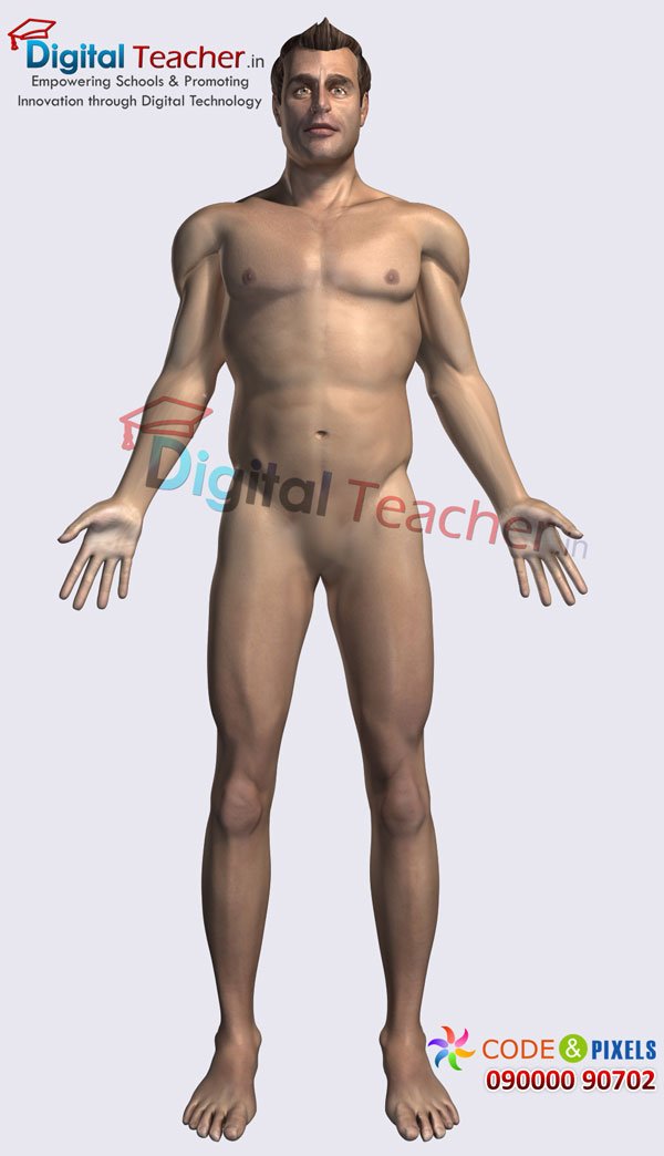 Digital teacher smart class on outline of human anatomy