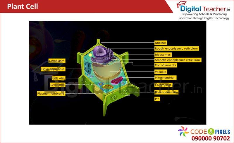 Digital teacher smart class about plant cell.